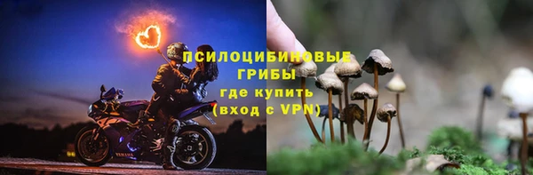 mdpv Арсеньев